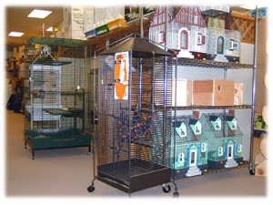Bird Cages
