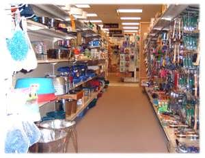 Dog Bowls and Grooming Tools