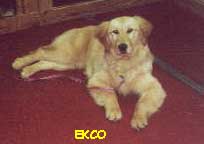 EKCO